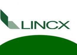 Lincx Saúde Empresarial